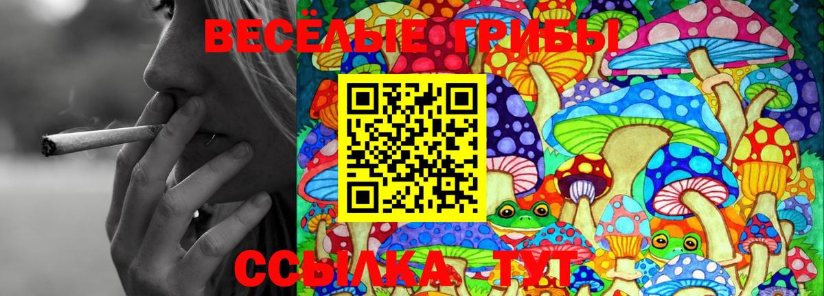 Галлюциногенные грибы MAGIC MUSHROOMS  Галлюциногенные грибы мухоморы  Барнаул  Вход с VPN 